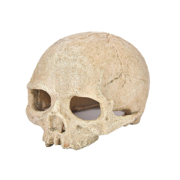 Skull Resin Decor Ornament For Fish Tank Aquariums & Terrariums