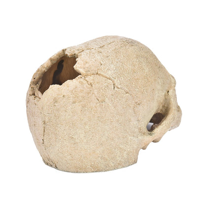 Skull Resin Decor Ornament For Fish Tank Aquariums & Terrariums